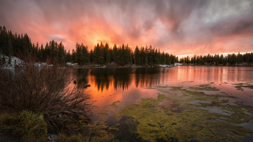 04145_coloradoablaze_1920x108067fa6987a2083867469e4c90305dfab7fb60570377bb4a1d.png