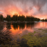 04145_coloradoablaze_1920x108067fa6987a2083867469e4c90305dfab7fb60570377bb4a1d