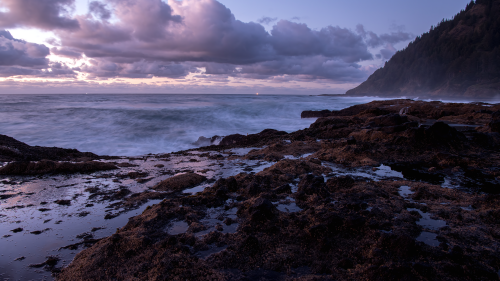 04155_sunsetatthebeach_1920x108072a006a5ab7bb5b4e498a1b8f05636a0b54907a8e89e6ab0.png