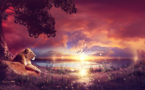 king-enjoying-the-sunset-q6-1920x12000c0c5936faedd1db6c157391b37599b9.png