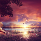 king-enjoying-the-sunset-q6-1920x12000c0c5936faedd1db6c157391b37599b9