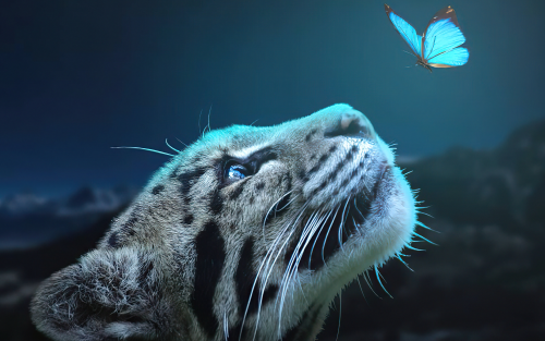 leopard-butterfly-connection-5k-2k-1920x12006baa97a973d53b19f52bed14164e345a.png