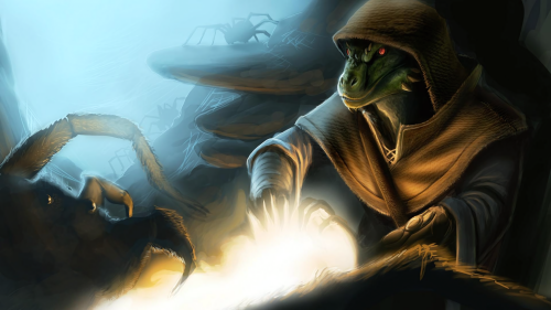 spiders-argonian-the-elder-scrolls-v-skyrim-1920x1080-30266038eb6956e93b8c54842a8ae925c226b96beee1895049504.png