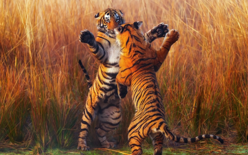 two-tiger-fightining-b1-1920x1200931317daf4524efc46e4165c4d672be7.png