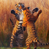 two-tiger-fightining-b1-1920x1200931317daf4524efc46e4165c4d672be7